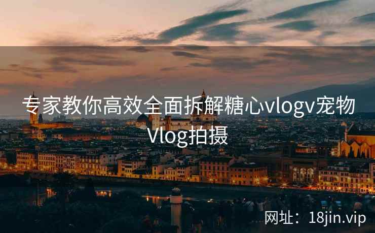 专家教你高效全面拆解糖心vlogv宠物Vlog拍摄