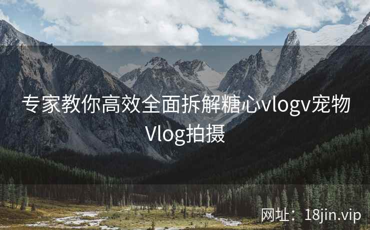 专家教你高效全面拆解糖心vlogv宠物Vlog拍摄