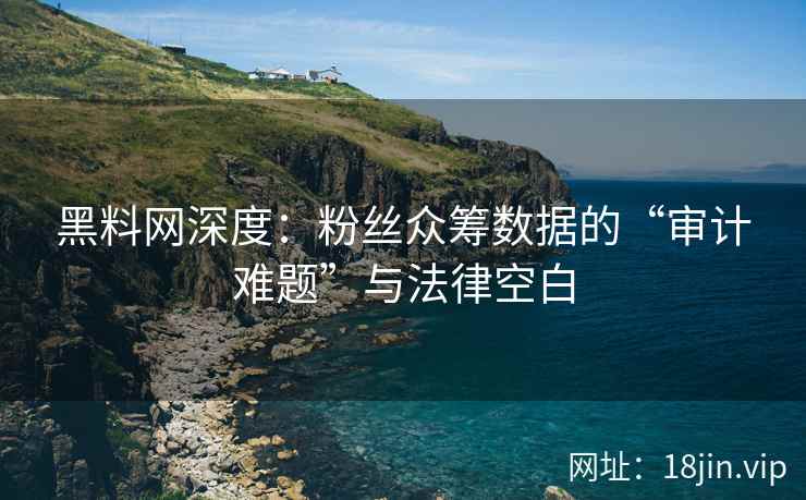 黑料网深度：粉丝众筹数据的“审计难题”与法律空白  第2张