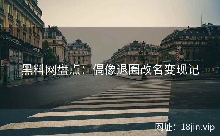 黑料网盘点：偶像退圈改名变现记  第2张
