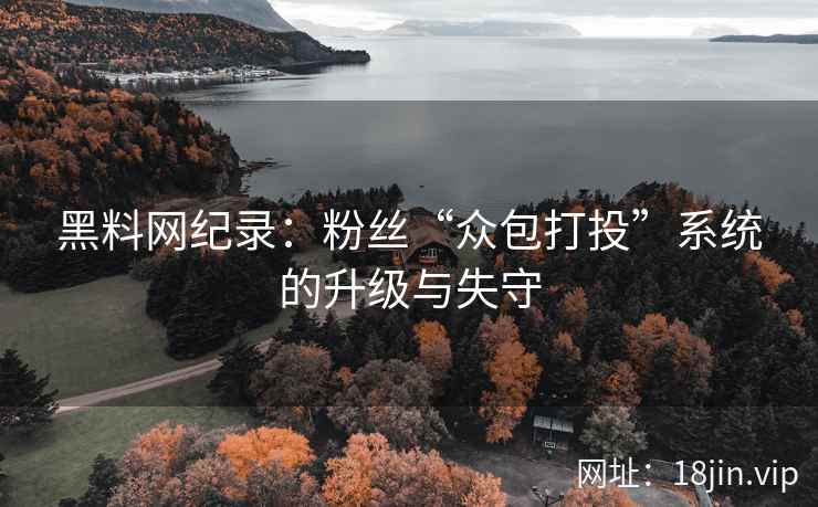 黑料网纪录：粉丝“众包打投”系统的升级与失守  第2张