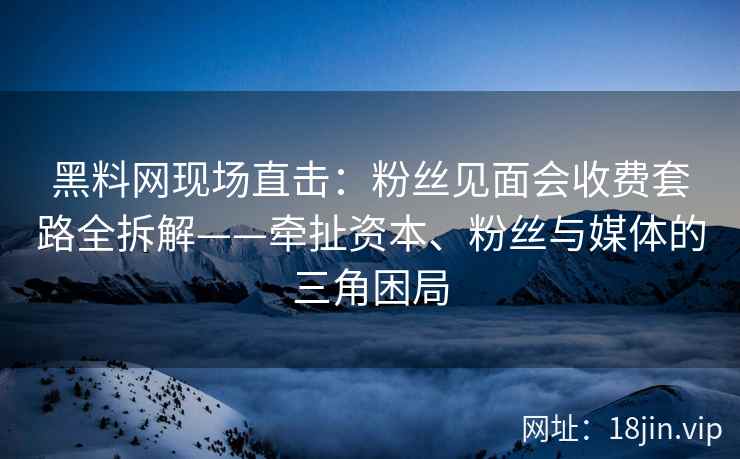 黑料网现场直击：粉丝见面会收费套路全拆解——牵扯资本、粉丝与媒体的三角困局  第2张