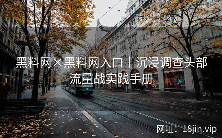 黑料网×黑料网入口｜沉浸调查头部流量战实践手册  第2张