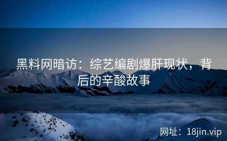 黑料网暗访：综艺编剧爆肝现状，背后的辛酸故事  第2张