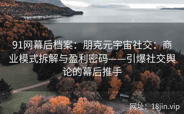 91网幕后档案：朋克元宇宙社交：商业模式拆解与盈利密码——引爆社交舆论的幕后推手  第2张